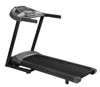 Aerofit MaxFit 16, Электрическая беговая дорожка складная MaxFit 16