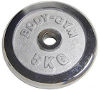 Body Gym WP06, Блин хромированный 5 кг (внутренний диаметр 31 мм)