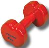 SkyFit SF-VD-5K, Гантель в виниловой оболочке 5 кг